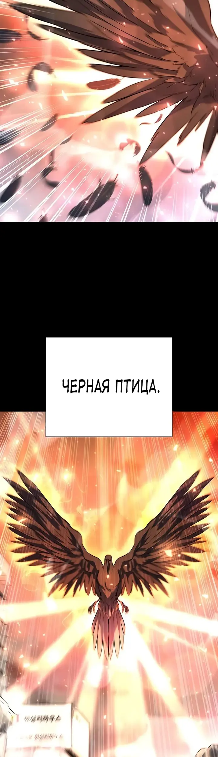 Страница 67
