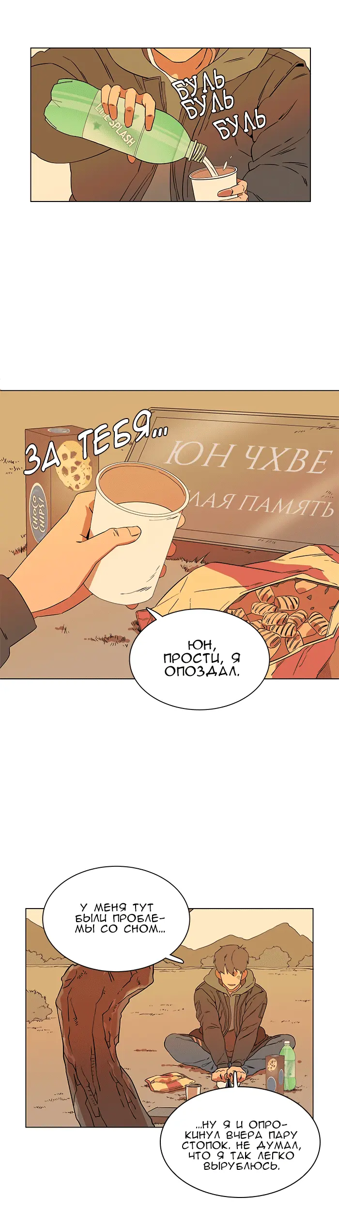 Страница 17