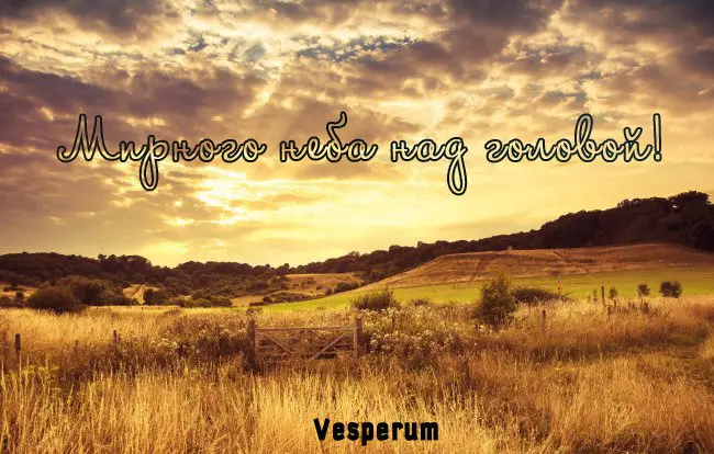 Страница 1