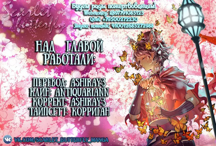 Страница 17