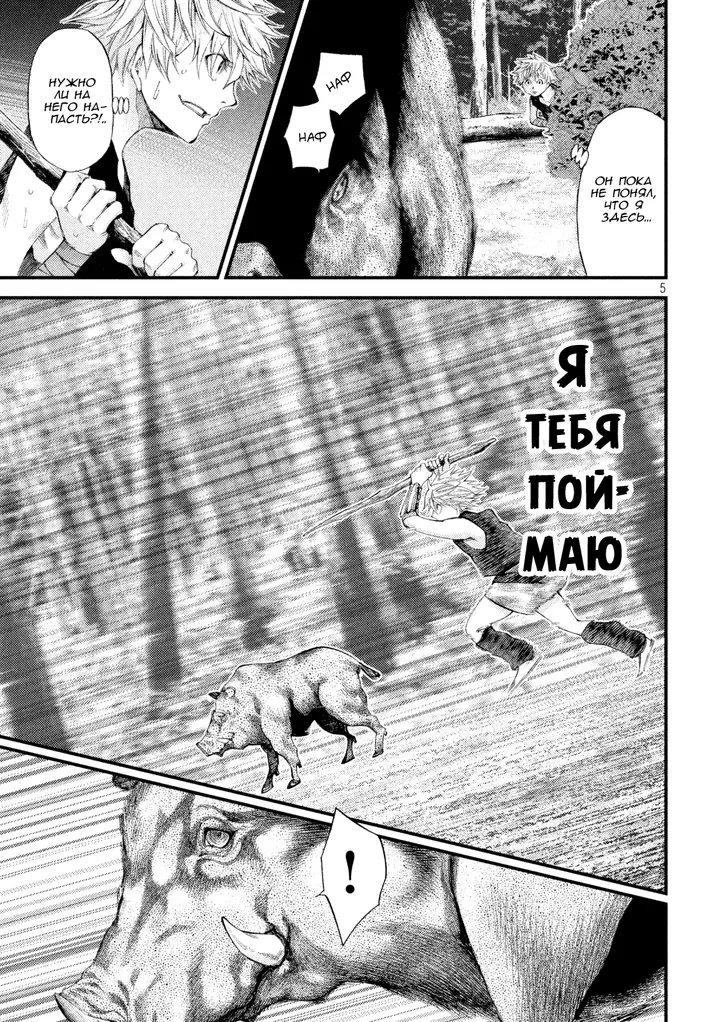 Страница 5