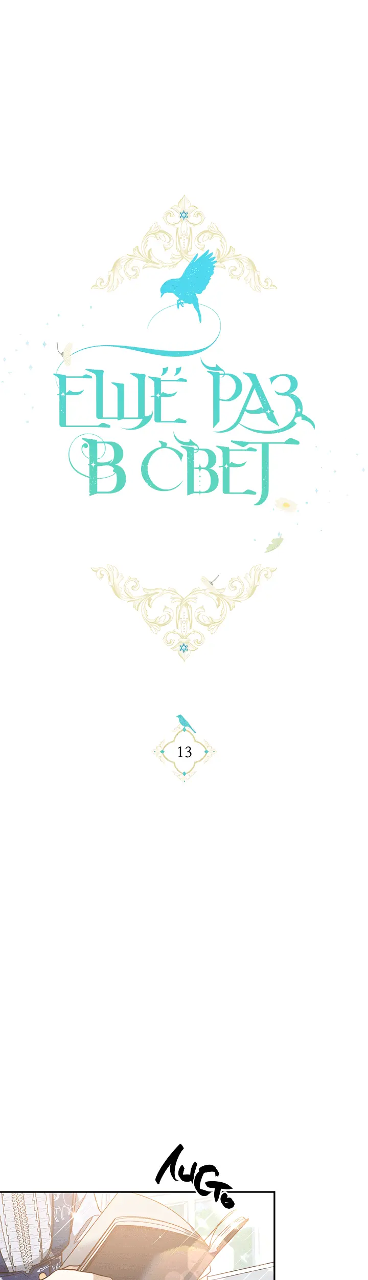 Страница 13