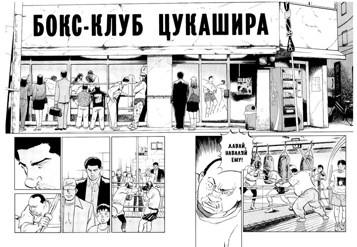 Страница 6