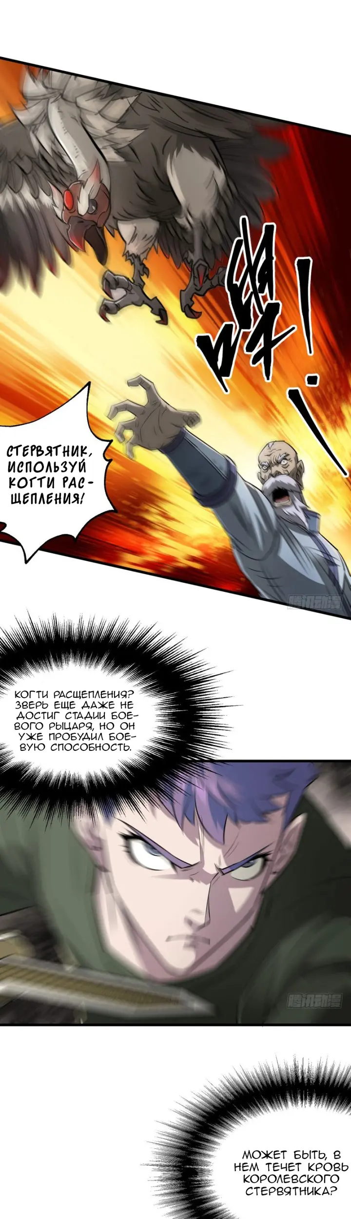 Страница 11