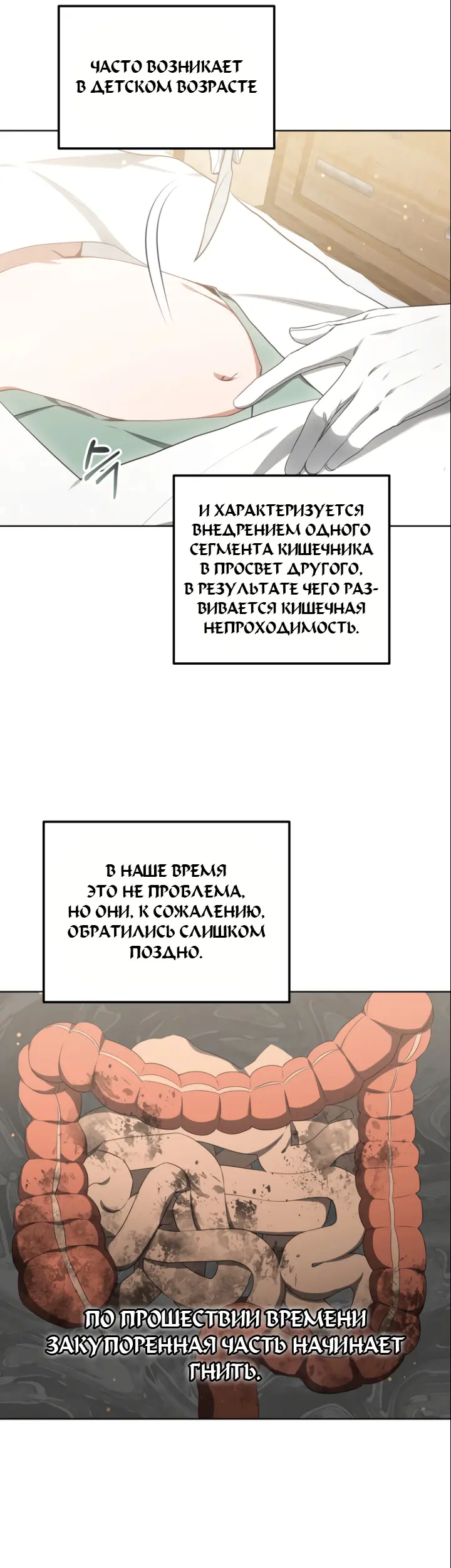Страница 31